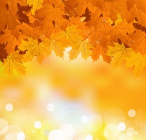 beautiful-maple-leaf-background-vector-204277